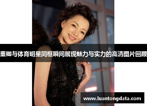 董卿与体育明星同框瞬间展现魅力与实力的高清图片回顾